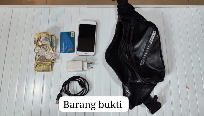 POLSEK METRO PENJARINGAN GERAK CEPAT AMANKAN PELAKU PEMALAKAN VIRAL DI JEMBATAN TIGA