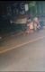 Jalur Lintas Bukit Makmur Bengkulu Utara Kembali Memakan Korban, Warga Desak Penertiban Truk Berat