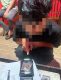 Polsek Tanjung Priok Sisir Titik Rawan, Satu Orang Diamankan dalam Operasi KRYD