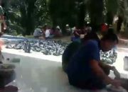 Pelaksanaan Kurban di Masjid Miftahul Jannah Berjalan Lancar dan Khidmat