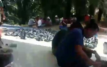 Pelaksanaan Kurban di Masjid Miftahul Jannah Berjalan Lancar dan Khidmat