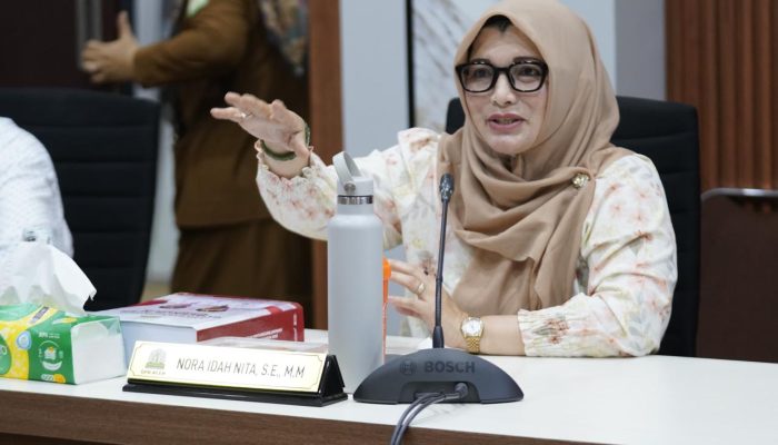 Nora Idah Nita Desak Pemerintah Pusat Percepat Pencairan Bantuan Korban Bencana Hidrometeorologi di Aceh
