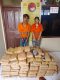Sat Narkoba Polres Taput Amankan 2 Kurir Narkoba, 112 Paket Ganja Kering Berhasil di Sita