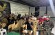 Semangat Membara! Kodim 0423/BU Gelar Nonton Bareng Meriah Bersama Warga di Graha Pamungkas