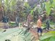 Jumat Bersih, TNI Bersama Masyarakat Desa Lebak Parahiang Gotong Royong Siapkan Lapangan Upacara HUT Kemerdekaan RI