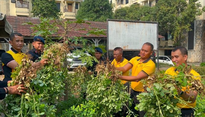 Brimob Polda Metro Jaya Panen Hasil Program Ketahanan Pangan