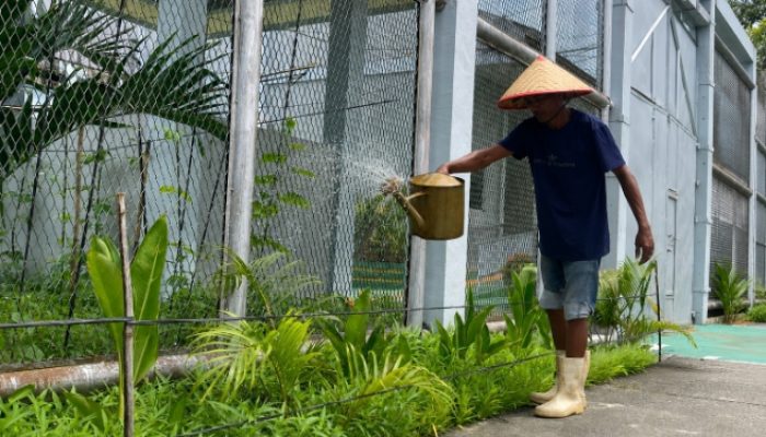 Ubah Stigma Penjara, Lapas Meulaboh Bentuk Warga Binaan Mandiri Melalui Ketahanan Pangan Nasional