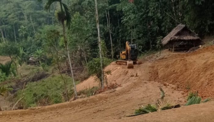 Diduga Rusak Kawasan Perhutani dengan Alat Berat, Aktivitas Pembukaan Lahan di Cirinten Lebak Disorot