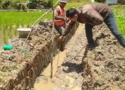 Bupati Taput Lobi Anggaran Rp. 42 Miliar Melalui Program OP-LAH, Perkuat Pertanian Tapanuli Utara