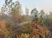 Lokalisasi dan Padamkan Api, Lanal Banjarmasin Bersama Dishut Kalsel Jinakkan Karhutla Gambut
