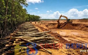 Tambang Timah di Pantai Rebo Babat Hutan Mangrove, Ekosistem Alam Hilang Demi Uang