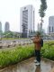 ‎Soroti Aspek Keamanan dan Sinergi Wilayah, Pemerhati Hukum Minta Dirut PTPN IV Copot Manajer Kebun Manako ‎