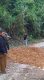 ‎Inisiatif Kades Simamora Perbaiki Jalan Kabupaten di Siborongborong Tuai Sorotan