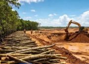 Tambang Timah di Pantai Rebo Babat Hutan Mangrove, Ekosistem Alam Hilang Demi Uang