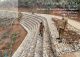 ‎Pemulihan Pascabencana Berjalan Cepat, 15 Infrastruktur Irigasi dan Tanggul di Tapanuli Utara Selesai 100 Persen