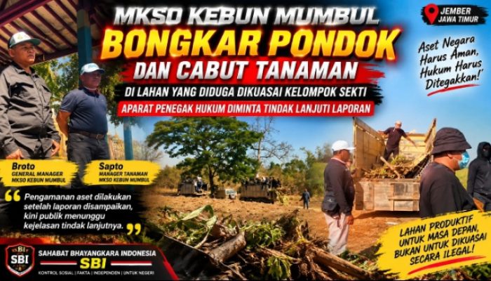 MKSO Kebun Mumbul Bongkar Pondok dan Cabut Tanaman di Lahan yang Diduga Dikuasai Kelompok Sekti, Aparat Diminta Tindak Lanjuti Laporan