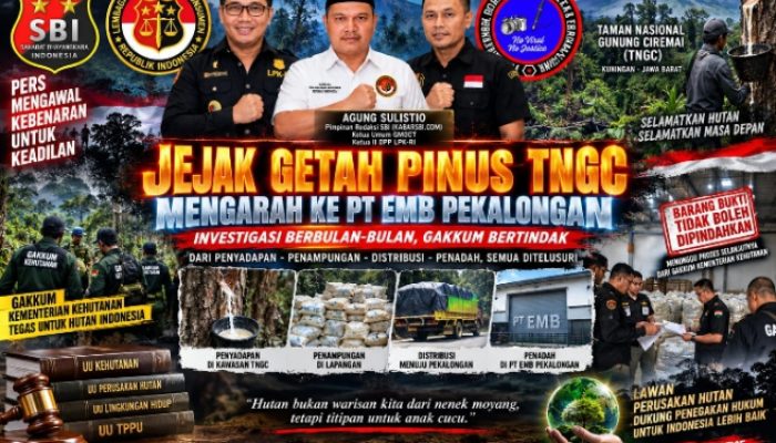 JEJAK GETAH PINUS TNGC MENGARAH KE PT EMB, GAKKUM PERIKSA OWNER DAN KARYAWAN — AGUNG: KAWAL SAMPAI TERANG-BENDERANG