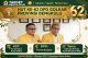 ‎ke-62 Partai Golkar: Syamsurachman Tekankan Politik Berdampak dan Kepedulian Sosial